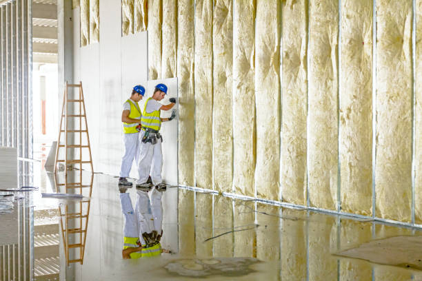 Best Specialty Insulation in Welsh, LA